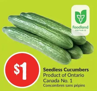 FreshCo Seedless cucumbers offer
