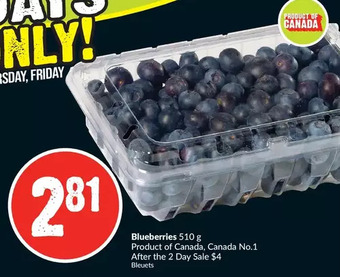 FreshCo Blueberries offer