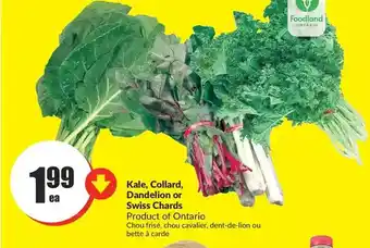 FreshCo Kale, collard, dandelion or swiss chards offer