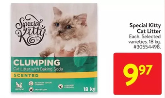 Walmart Special kitty cat litter offer