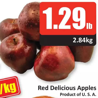 Starsky Red delicious apples offer