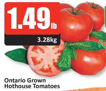 Starsky Hothouse tomatoes offer