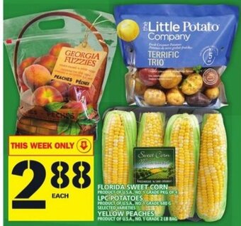 Food Basics Florida Sweet Corn offer