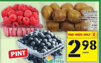 Food Basics Blueberries offer