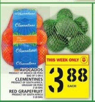 Food Basics Avocados offer