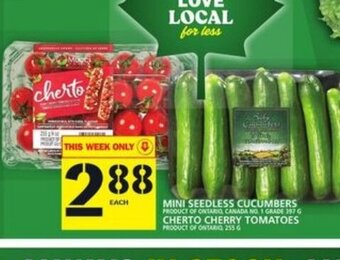 Food Basics mini seedless Cucumbers offer