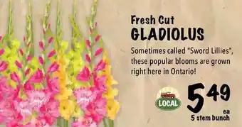Farm Boy Fresh cut gladiolus offer
