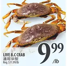 Al Premium Food Mart Live b.c crab offer
