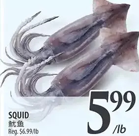 Al Premium Food Mart Squid offer