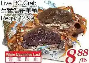Tone Tai Supermarket Live bc crab offer