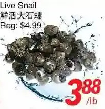 Foody World Live snail offer
