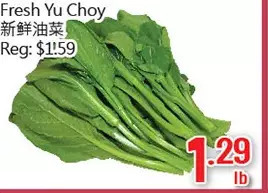 Fresh yu choy