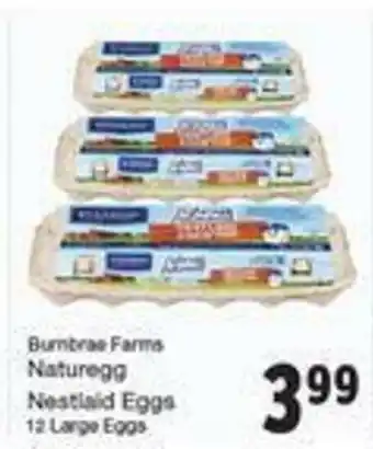 Quality Foods Naturegg offer