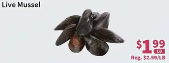 Blue Sky Supermarket Live mussel offer