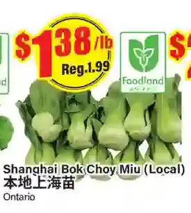 Btrust Supermarket Shanghai bok choy miu offer