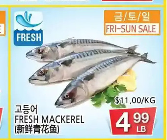 H-Mart Fresh mackerel offer