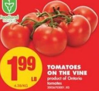 No Frills Tomatoes On The Vine offer