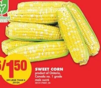 No Frills Sweet Corn offer