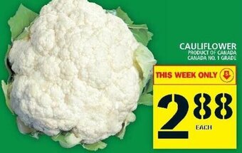 Food Basics Cauliflower offer