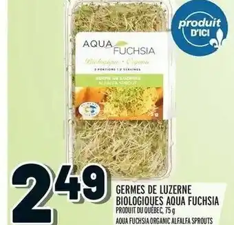 Metro Germes de luzerne biologiques aqua fuchsia offer