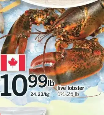Fortinos Live Lobster offer