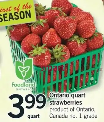 Fortinos Ontario Quart Strawberries offer