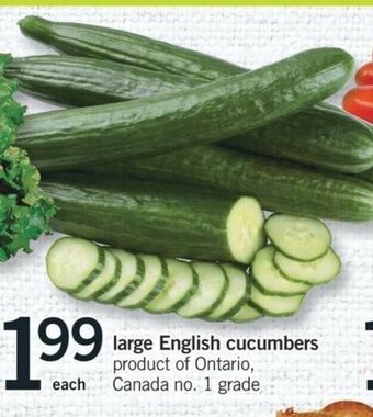 Fortinos Large English Cucumbers offer