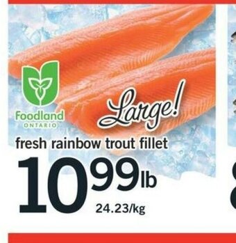 Fortinos Fresh Rainbow Trout Fillet offer