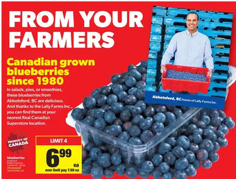 Real Canadian Superstore Blueberries offer