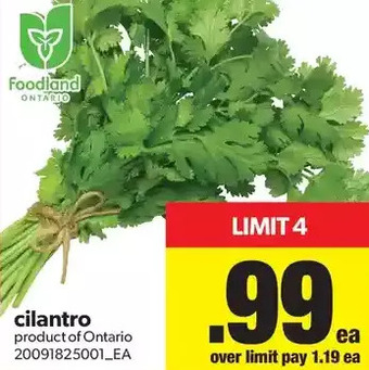 Real Canadian Superstore Cilantro offer