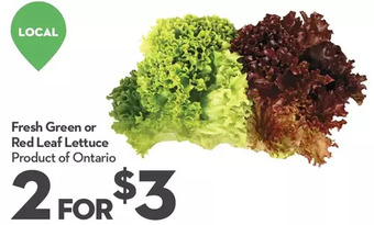Longo's Fresh green or red leaf lettuce offer