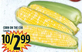 Marché Adonis Corn on the cob offer