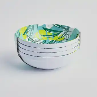 Giant Tiger Melamine bowls, 4 pack offer
