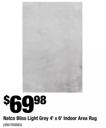 Home Depot Natco bliss light grey 4' x 6' indoor area rug offer