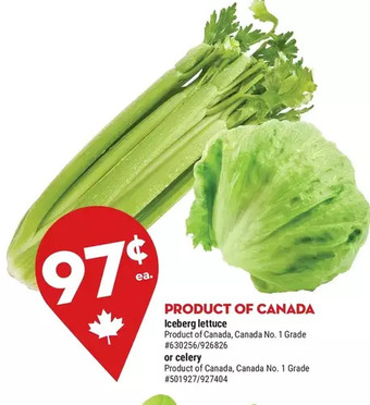 Giant Tiger Iceberg lettuce offer