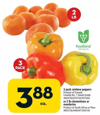 Giant Tiger 3 pack rainbow peppers offer