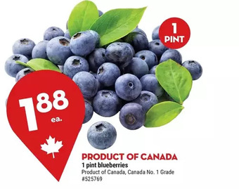 Giant Tiger 1 pint blueberries offer