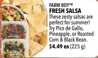 Farm Boy Farm boy fresh salsa offer