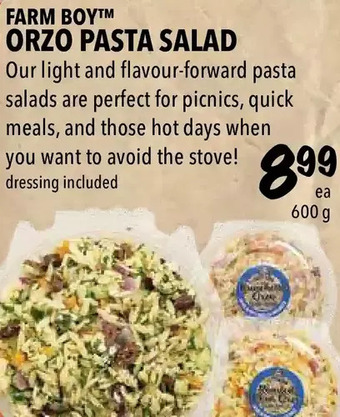 Farm Boy Farm boy orzo pasta salad offer
