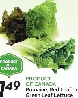 Sobeys Romaine, red leaf or green leaf lettuce offer