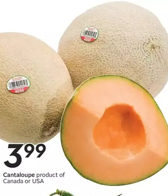 Sobeys Cantaloupe offer