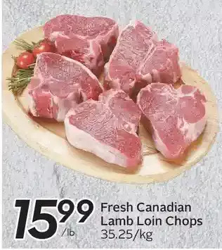 Sobeys Fresh canadian lamb loin chops offer