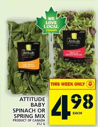 Food Basics Attitude baby spinach or spring mix offer