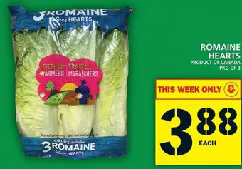 Food Basics Romaine hearts offer