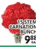 Food Basics 15 stem carnation bunch offer