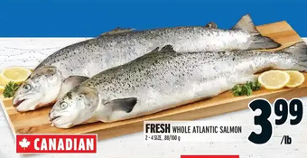 Metro Fresh whole atlantic salmon offer