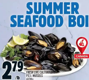Metro Fresh live cultivated p.e.i. mussels offer