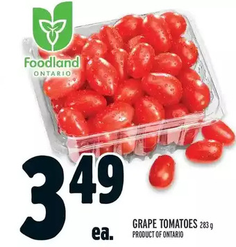 Metro Grape tomatoes offer