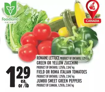 Metro Romaine lettuce | green or yellow zucchini | field or roma italian tomatoes | jumbo sweet green peppers offer