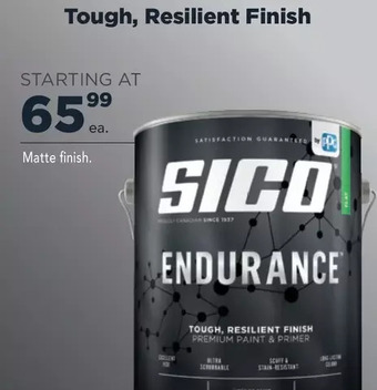 Lowe's Sico matte finish offer